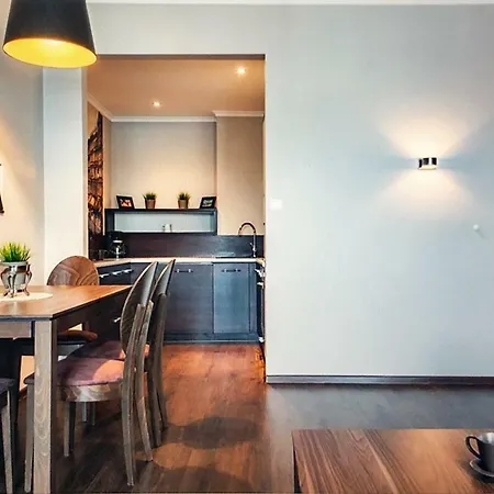 Schwarz Tiger 10 In Rynek Apartmán Vratislav